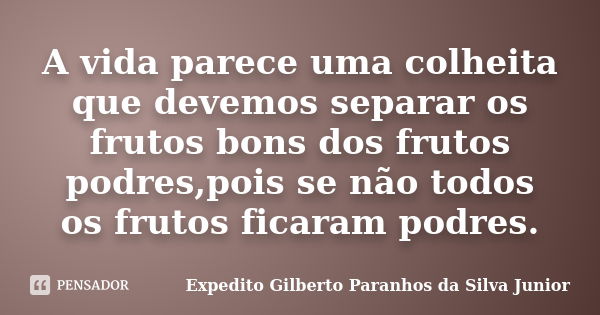 A vida parece uma colheita que devemos separar os frutos bons dos frutos podres,pois se não todos os frutos ficaram podres.... Frase de Expedito Gilberto Paranhos da Silva Junior.