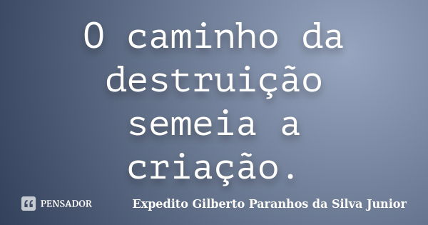 O caminho da destruição semeia a criação.... Frase de Expedito Gilberto Paranhos da Silva Junior.