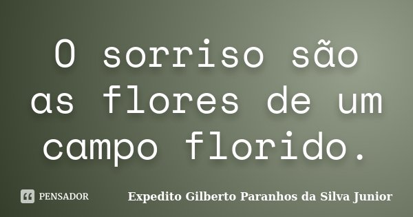O sorriso são as flores de um campo florido.... Frase de Expedito Gilberto Paranhos da Silva Junior.