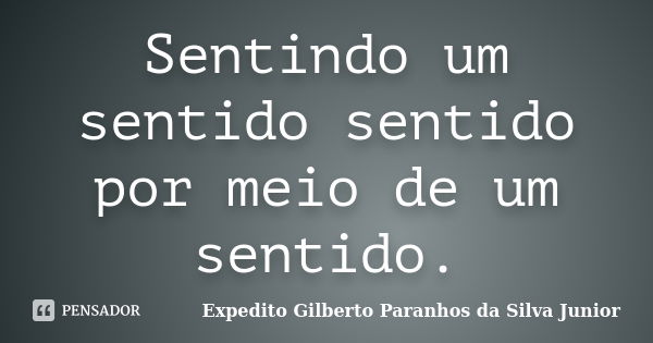 Sentindo um sentido sentido por meio de um sentido.... Frase de Expedito Gilberto Paranhos da Silva Junior.