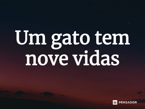 ⁠Um gato tem nove vidas... Frase de expressão idiomatica.