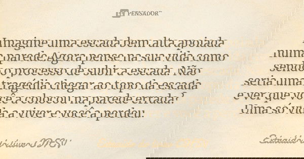 Imagine uma escada bem alta apoiada numa parede.Agora pense na sua vida como sendo o processo de subir a escada. Não seria uma tragédia chegar ao topo da escada... Frase de Extraído do livro CDFSV.