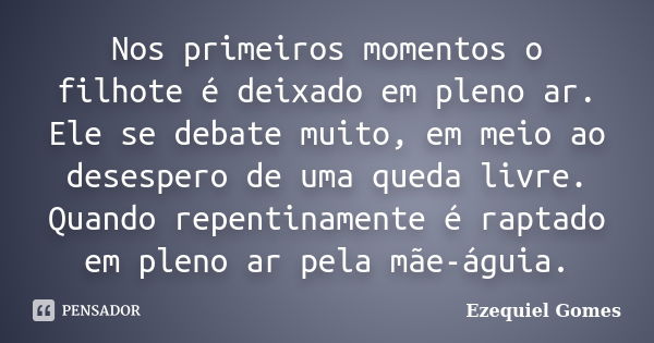 Nos primeiros momentos o filhote é deixado em pleno ar. Ele se debate muito, em meio ao desespero de uma queda livre. Quando repentinamente é raptado em pleno a... Frase de Ezequiel Gomes.