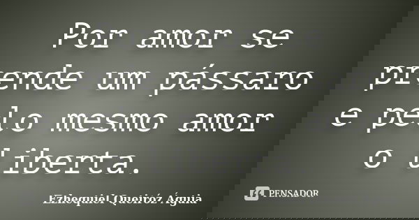 Por amor se prende um pássaro e pelo mesmo amor o liberta.... Frase de Ezhequiel Queiróz Águia.
