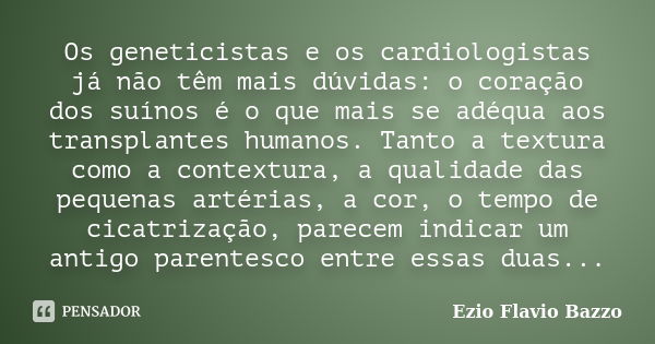 Os geneticistas e os cardiologistas já não têm mais dúvidas: o coração dos suínos é o que mais se adéqua aos transplantes humanos. Tanto a textura como a contex... Frase de Ezio Flavio Bazzo.