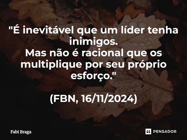 "⁠É inevitável que um líder tenha inimigos. Mas não é racional que os multiplique por seu próprio esforço." (FBN, 16/11/2024)... Frase de Fabi Braga.