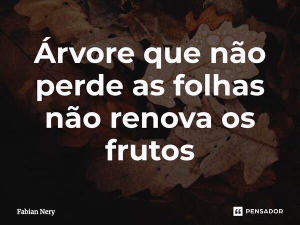 ⁠Árvore que não perde as folhas não renova os frutos... Frase de Fabian nery.