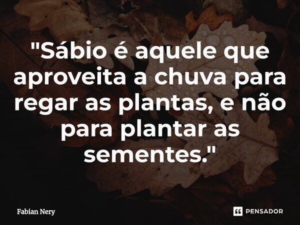 ⁠"Sábio é aquele que aproveita a chuva para regar as plantas, e não para plantar as sementes."... Frase de Fabian nery.