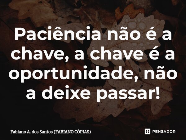 ⁠Paciência não é a chave, a chave é a oportunidade, não a deixe passar!... Frase de Fabiano A. dos Santos (FABIANO CÓPIAS).