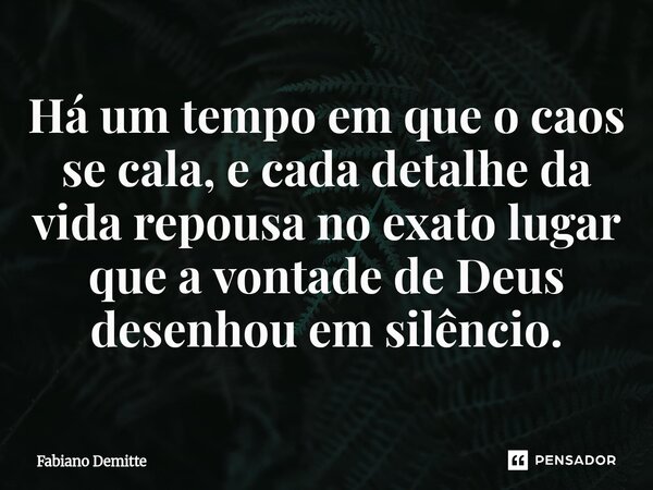 Há um tempo em que o caos se cala, e cada detalhe da vida repousa no exato lugar que a vontade de Deus desenhou em silêncio.... Frase de Fabiano Demitte.