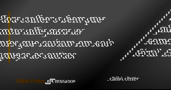 Para colher o bem que plantou olhe para as sementes que caíram em solo fértil. Esqueça as outras.... Frase de Fábio Fetter.