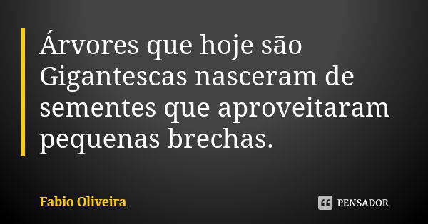 Árvores que hoje são Gigantescas nasceram de sementes que aproveitaram pequenas brechas.... Frase de FABIO OLIVEIRA.