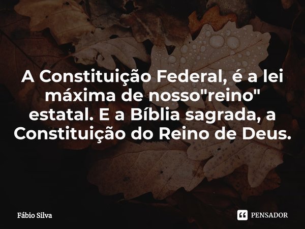 ⁠A Constituição Federal, é a lei máxima de nosso "reino" estatal. E a Bíblia sagrada, a Constituição do Reino de Deus.... Frase de Fábio Silva.
