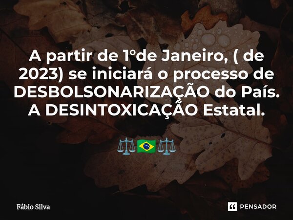 ⁠A partir de 1°de Janeiro, ( de 2023) se iniciará o processo de DESBOLSONARIZAÇÃO do País. A DESINTOXICAÇÃO Estatal. ⚖️🇧🇷⚖️... Frase de Fábio Silva.