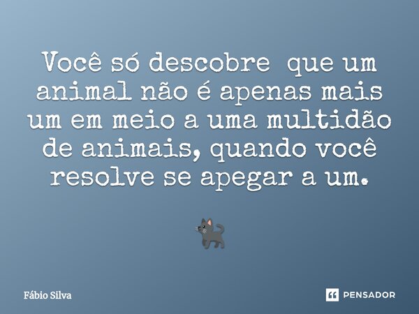 ⁠Você só descobre que um animal não é apenas mais um em meio a uma multidão de animais, quando você resolve se apegar a um. 🐈‍⬛... Frase de Fábio Silva.