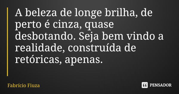 A beleza de longe brilha, de perto é cinza, quase desbotando. Seja bem vindo a realidade, construída de retóricas, apenas.... Frase de Fabrício Fiuza.