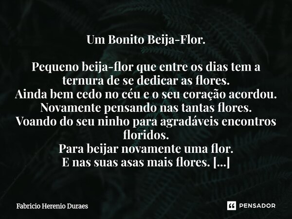 ⁠Um Bonito Beija-Flor. Pequeno beija-flor que entre os dias tem a ternura de se dedicar as flores. Ainda bem cedo no céu e o seu coração acordou. Novamente pens... Frase de Fabricio Herenio Duraes.