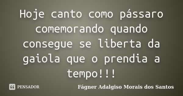 Hoje canto como pássaro comemorando quando consegue se liberta da gaiola que o prendia a tempo!!!... Frase de Fágner Adalgiso Morais dos Santos.