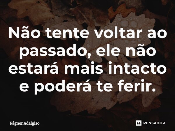 ⁠Não tente voltar ao passado, ele não estará mais intacto e poderá te ferir.... Frase de Fágner Adalgiso.