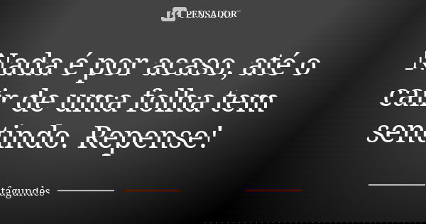 Nada é por acaso, até o cair de uma folha tem sentindo. Repense!... Frase de Fagundes.