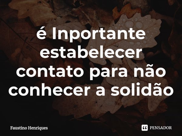 ⁠é Inportante estabelecer contato para não conhecer a solidão... Frase de Faustino Henriques.