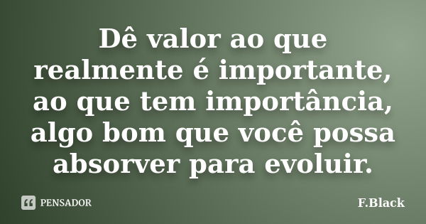 Dê valor ao que realmente é importante, ao que tem importância, algo bom que você possa absorver para evoluir.... Frase de F.Black.