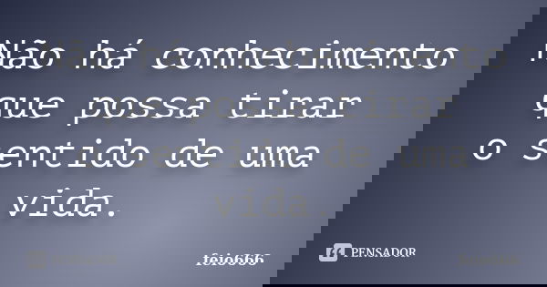 Não há conhecimento que possa tirar o sentido de uma vida.... Frase de feio666.