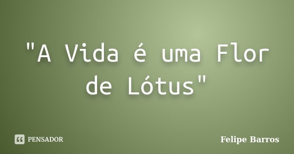 "A Vida é uma Flor de Lótus"... Frase de Felipe Barros.