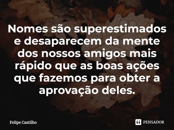 ⁠Nomes são superestimados e desaparecem da mente dos nossos amigos mais rápido que as boas ações que fazemos para obter a aprovação deles.... Frase de Felipe Castilho.