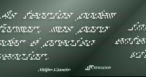 As teorias podem informar, mas para entender é preciso vivenciar.... Frase de Felipe Caxeiro.
