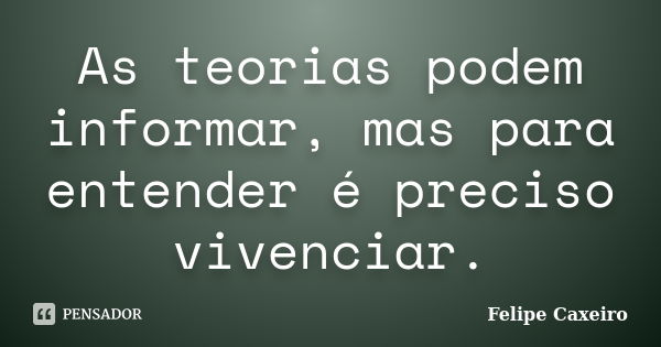 As teorias podem informar, mas para entender é preciso vivenciar.... Frase de Felipe Caxeiro.