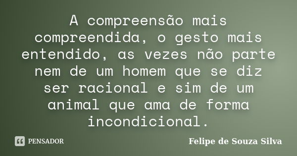 A compreensão mais compreendida, o gesto mais entendido, as vezes não parte nem de um homem que se diz ser racional e sim de um animal que ama de forma incondic... Frase de Felipe de Souza Silva.