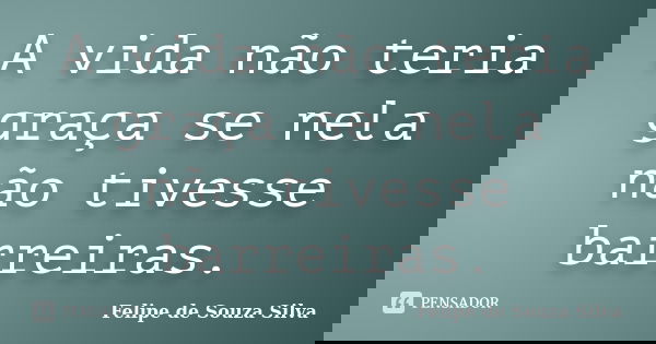A vida não teria graça se nela não tivesse barreiras.... Frase de Felipe de Souza Silva.