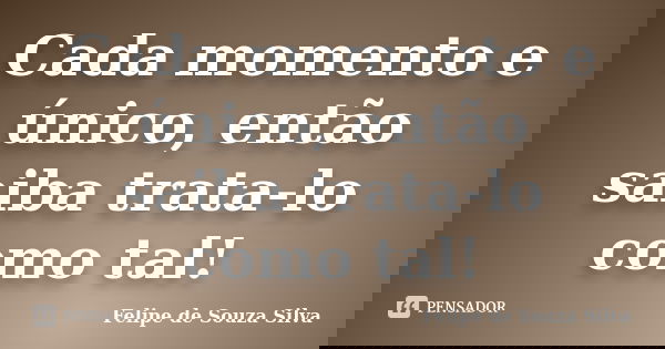 Cada momento e único, então saiba trata-lo como tal!... Frase de Felipe de Souza Silva.