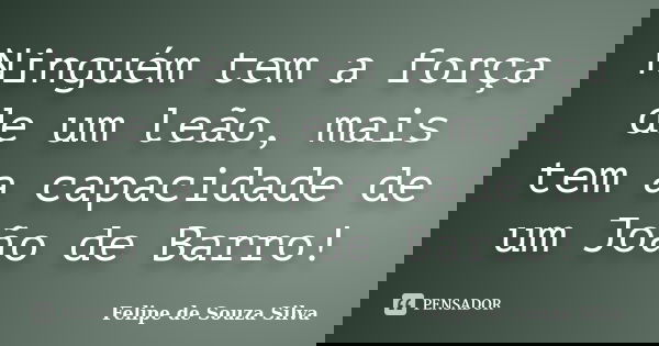 Ninguém tem a força de um leão, mais tem a capacidade de um João de Barro!... Frase de Felipe de Souza Silva.