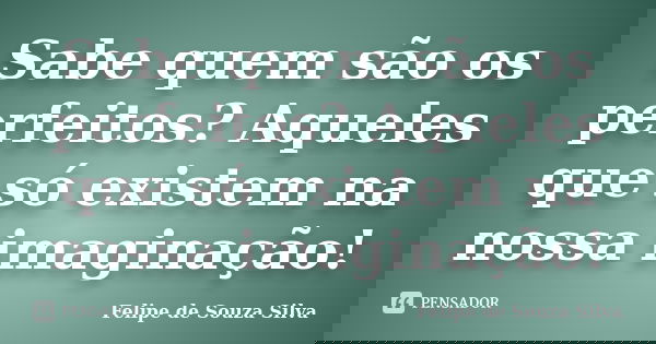Sabe quem são os perfeitos? Aqueles que só existem na nossa imaginação!... Frase de Felipe de Souza Silva.