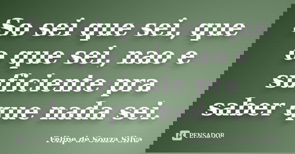So sei que sei, que o que sei, nao e suficiente pra saber que nada sei.... Frase de Felipe de Souza Silva.
