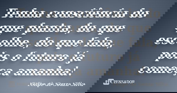 Tenha consciência do que planta, do que escolhe, do que fala, pois o futuro já começa amanha!... Frase de Felipe de Souza Silva.