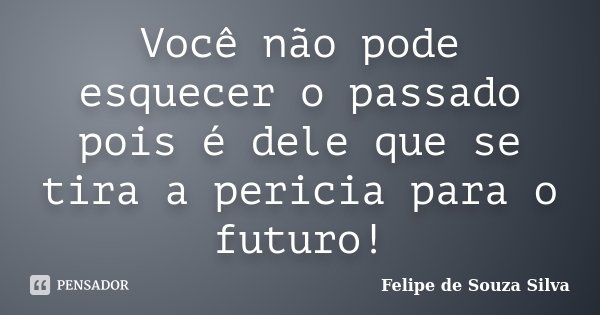 Você não pode esquecer o passado pois é dele que se tira a pericia para o futuro!... Frase de Felipe de Souza Silva.