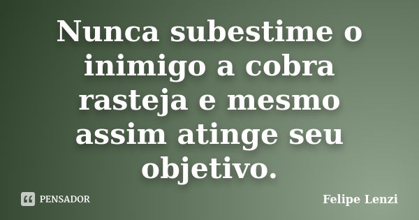 Nunca subestime o inimigo a cobra rasteja e mesmo assim atinge seu objetivo.... Frase de Felipe Lenzi.