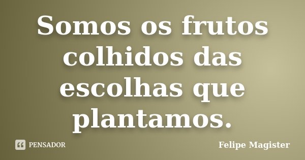 Somos os frutos colhidos das escolhas que plantamos.... Frase de Felipe Magister.