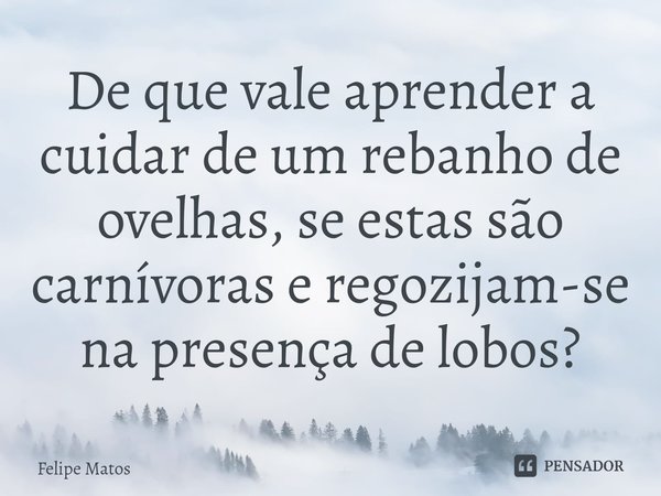 De que vale aprender a cuidar de um rebanho de ovelhas, se estas são carnívoras e regozijam-se na presença de lobos?... Frase de Felipe Matos.