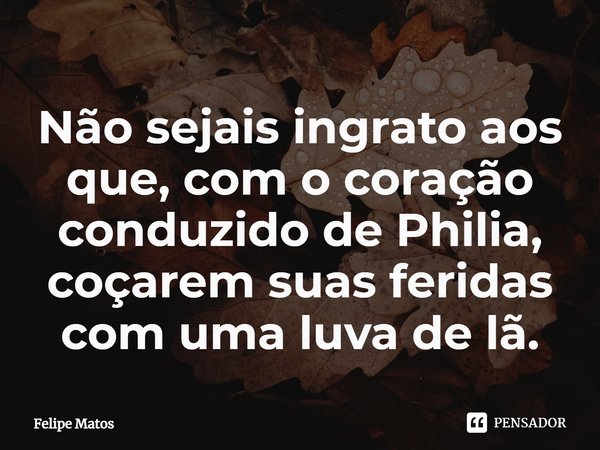 ⁠Não sejais ingrato aos que, com o coração conduzido de Philia, coçarem suas feridas com uma luva de lã.... Frase de Felipe Matos.