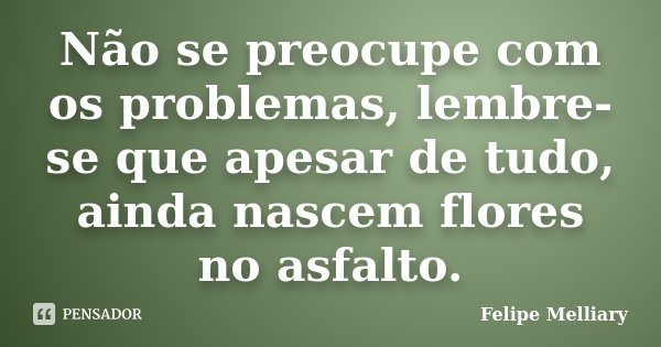 Não se preocupe com os problemas, lembre-se que apesar de tudo, ainda nascem flores no asfalto.... Frase de Felipe Melliary.