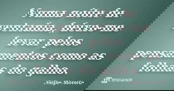 Numa noite de ventania, deixo-me levar pelos pensamentos como as folhas do galho.... Frase de Felipe Moreira.