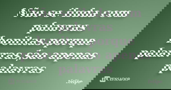 Não se iluda com palavras bonitas.porque palavras,são apenas palavras... Frase de Felipe.