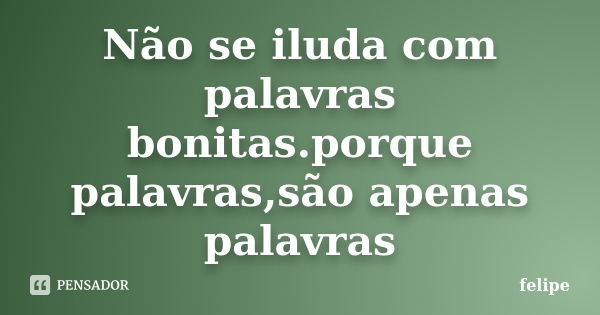 Não se iluda com palavras bonitas.porque palavras,são apenas palavras... Frase de Felipe.