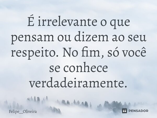 É irrelevante o que pensam ou dizem ao seu respeito. No fim, só você se conhece verdadeiramente.... Frase de Felipe__Oliveira.