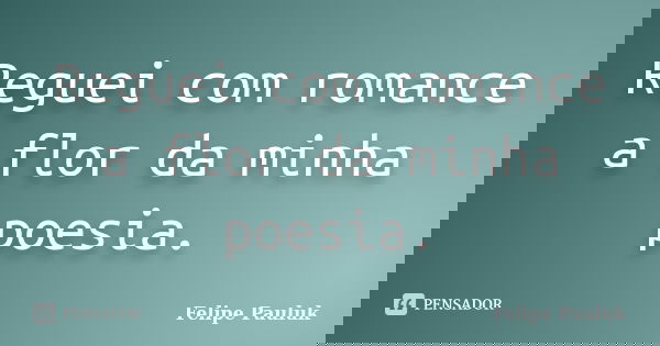 Reguei com romance a flor da minha poesia.... Frase de Felipe Pauluk.