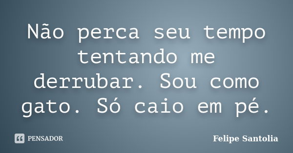 Não perca seu tempo tentando me derrubar. Sou como gato. Só caio em pé.... Frase de Felipe Santolia.